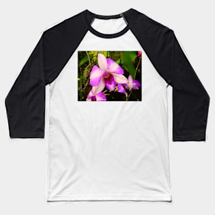 Orchid Study 5 Baseball T-Shirt